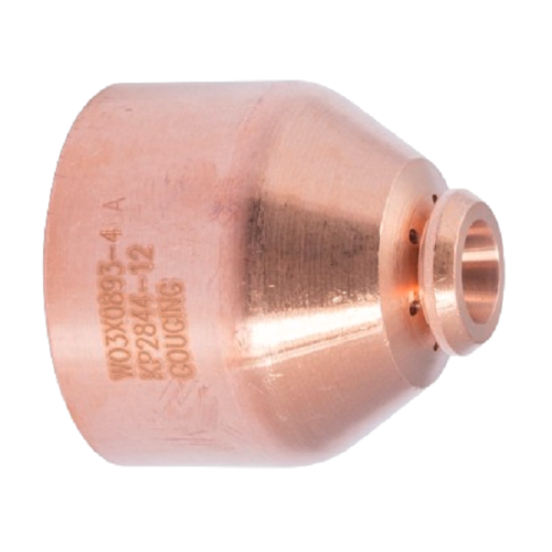 Shield Cap Lincoln LC65M W03X0893-48A